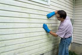 Best Aluminum Siding Installation  in Henderson, TX